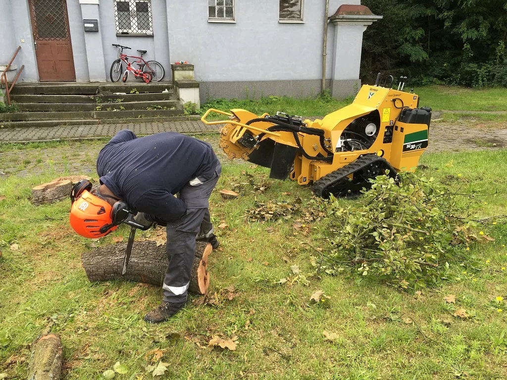 frezarka do pni przed wykonaniem operacji