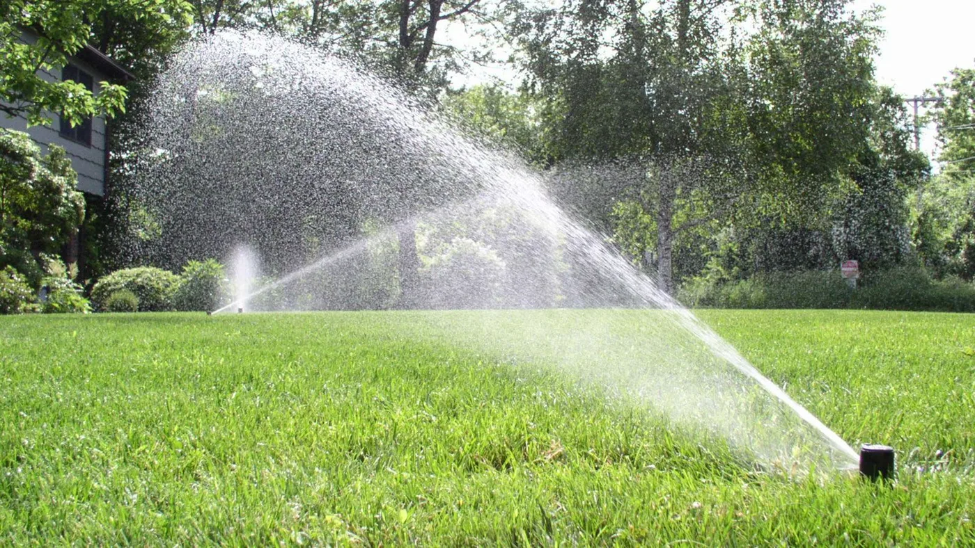 zraszanie trawnika