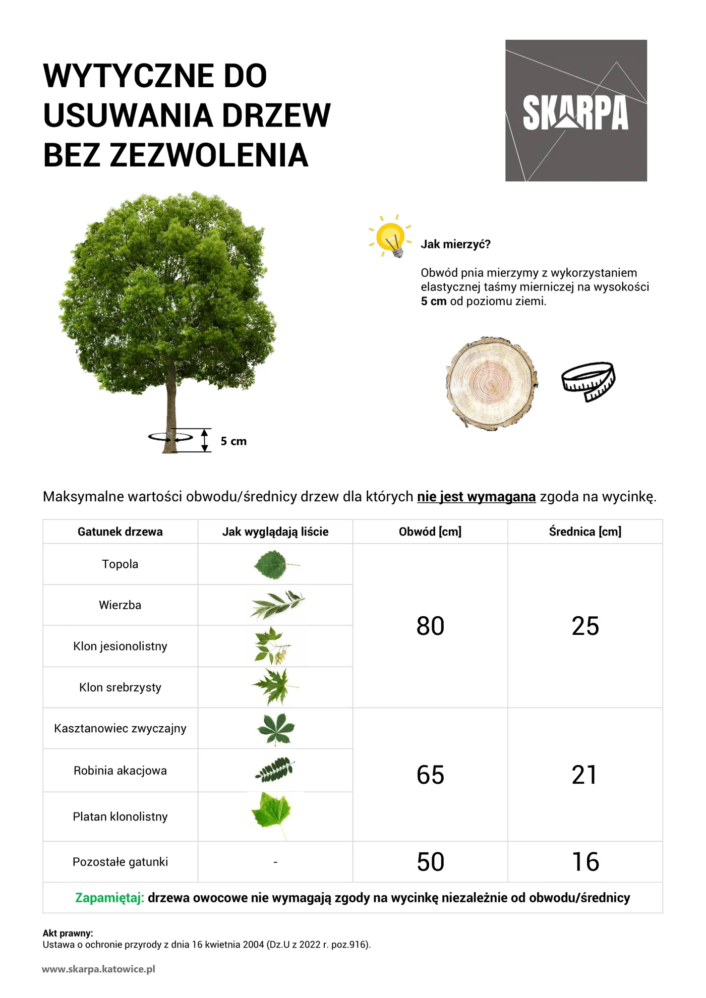 Zasady Wycinki Drzew 1