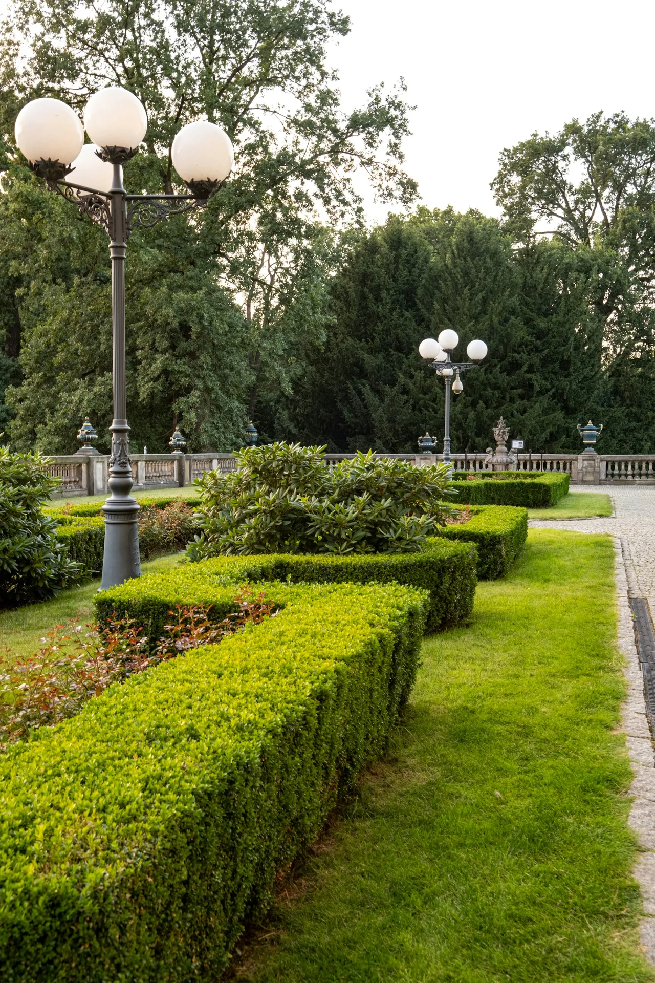 Przycinanie żywopłotu nożycami