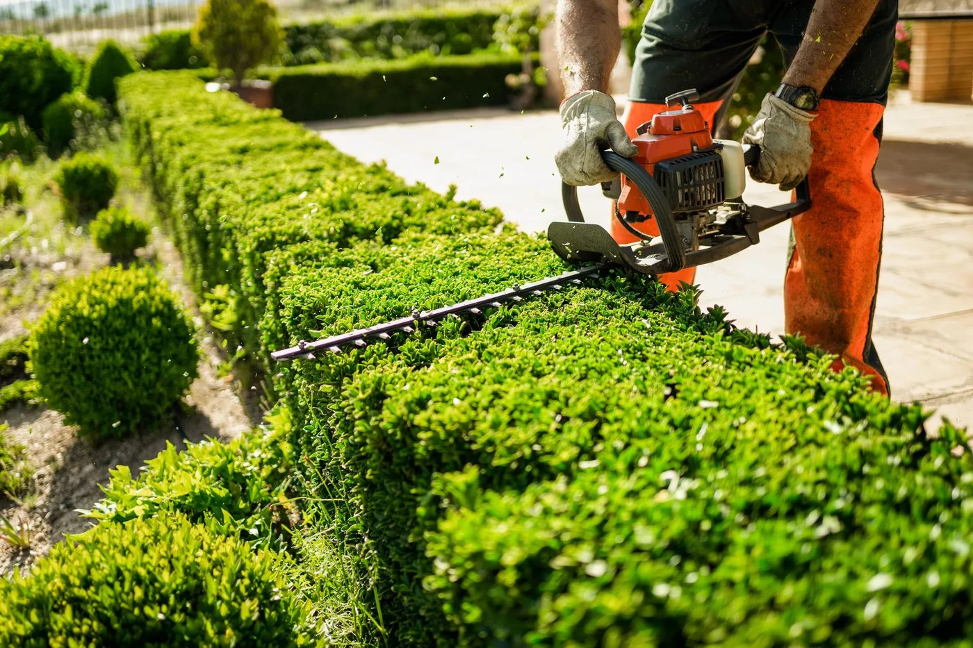 Jak wygląda współpraca - audyt terenu